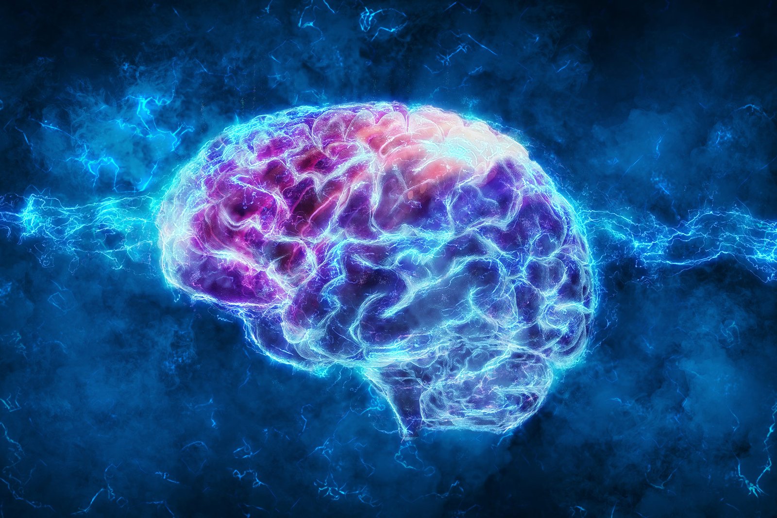 How to Upgrade Your Brain